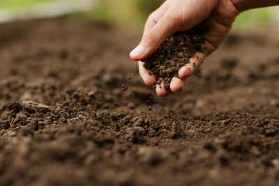 Homme préparant le sol de son potager pour la nouvelle saison