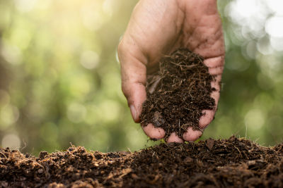 Quel terreau choisir pour faire ses semis ?