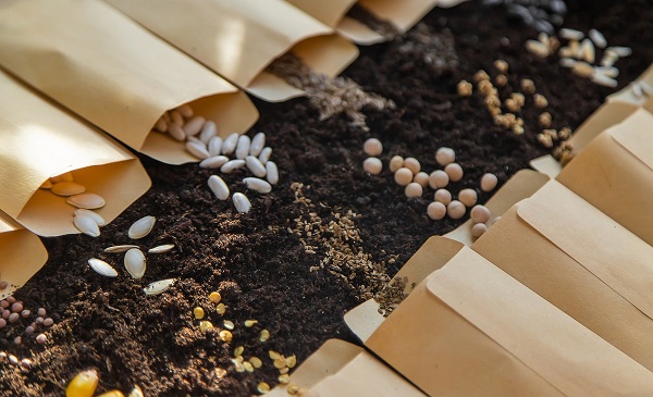 Graines et semences pour fleurs et légumes en hiver