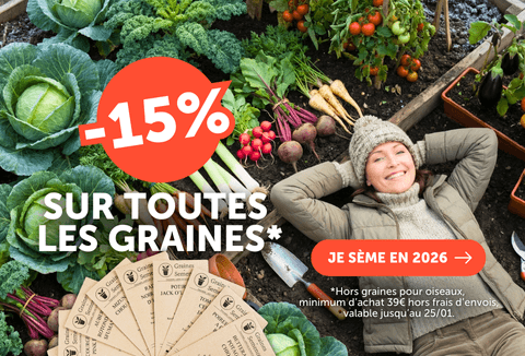 -15 % sur toutes nos graines* dès 39 € d’achat : remise immédiate dans votre panier !