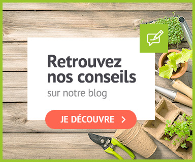 conseils jardinage