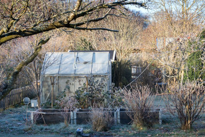 Travaux de janvier au jardin 