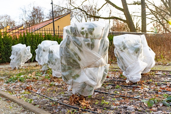 Travaux de jardinage en décembre