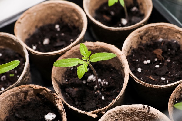 Ingrédients Pour Le Sol Des Plantes En Pot Maison Tourbe Terre Sable  Perlite Vermiculite Noix De Coco Un Mélange Pour Planter Des Plantes Dans  Un Pot