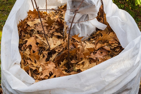 Travaux de jardinage en décembre