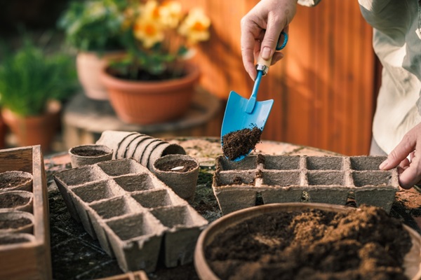 Les Plantes Médicinales, Kit de Jardinage