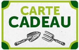 Offrir une carte cadeau