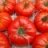 Tomate Marmande