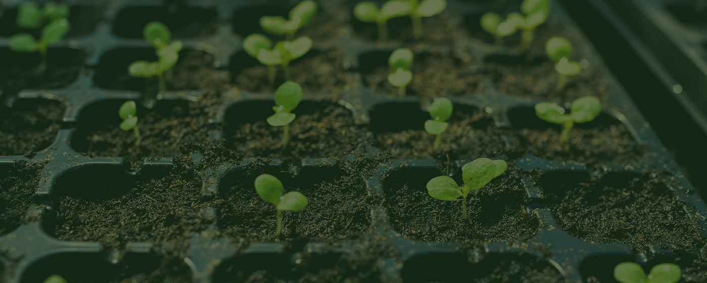 Règles par défaut Slide background