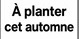 A planter cet automne